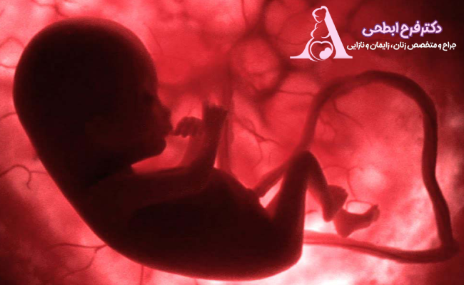 فواید زایمان طبیعی فواید زایمان طبیعی