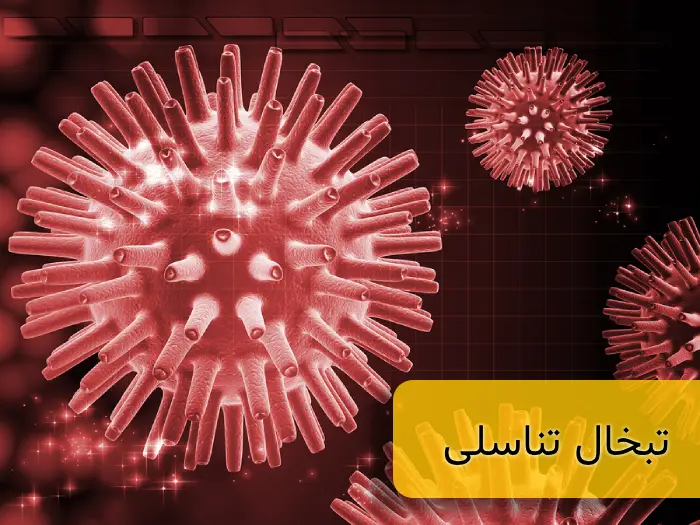 تبخال تناسلی چیست