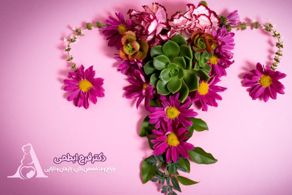 پولیپ رحم و آی وی اف (IVF): آیا تاثیری دارد؟