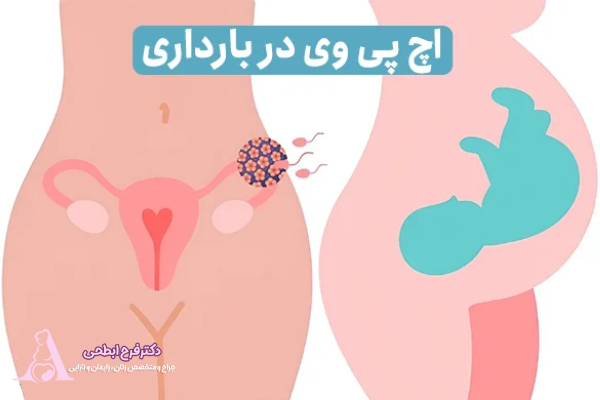 چه ارتباطی بین بارداری و اچ پی وی وجود دارد؟