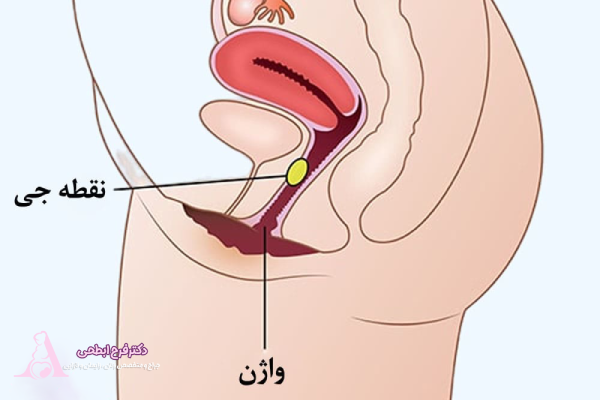تفاوت میل جنسی و ارگاسم در زنان